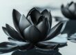 yoga sommières